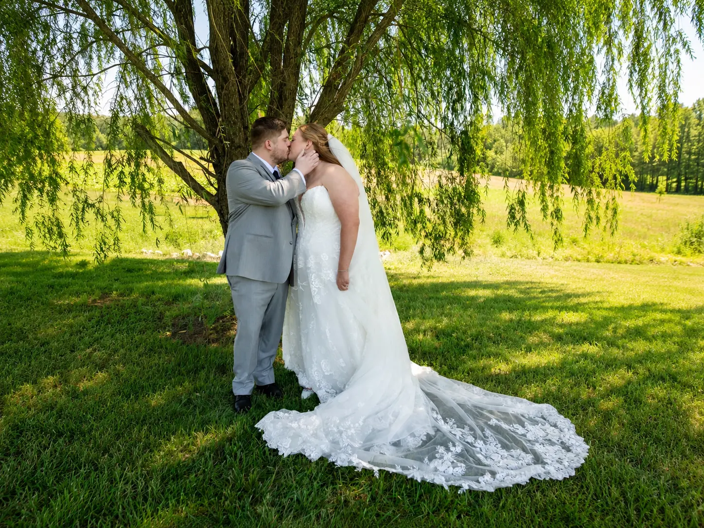 Bride and groom sharing a romantic kiss beneath a weeping willow on a green lawn.